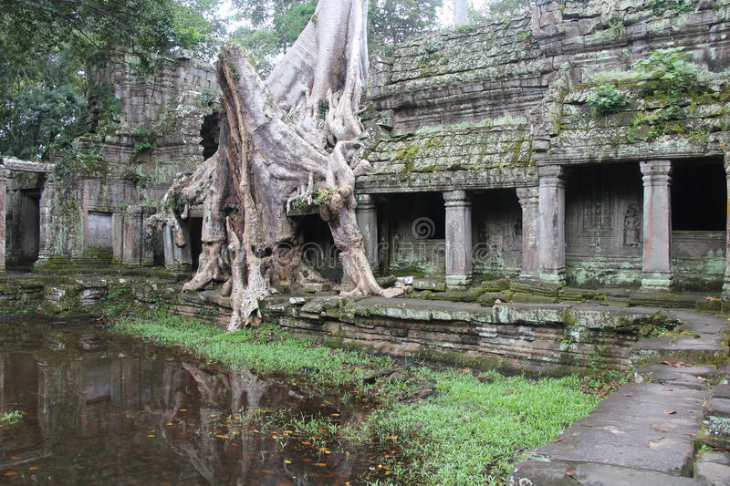 Preah Khan (littéralement «l'épée sacrée» en khmer) était plus qu'un temple, le complexe servait aussi de ville et d'université bouddhiste.