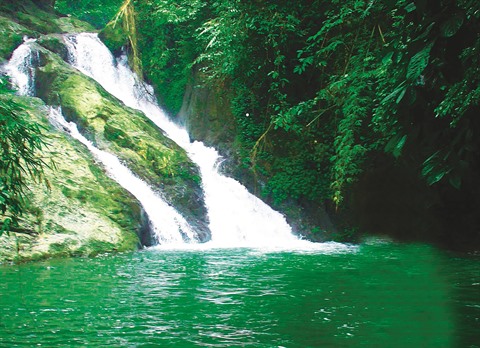 Guide voyage : Découvrez les montagnes de Ta Xua, destination pour les amoureux de trekking parc national de Xuan Son